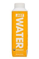 Just Water: JustWater-17oz-Lemon-Front