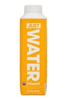 Just Water: JustWater-17oz-Lemon-Front