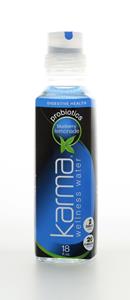 KarmaWellnessWater BlueBerryLemonade Front