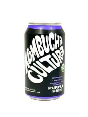 Kombucha Culture: IMG_4213