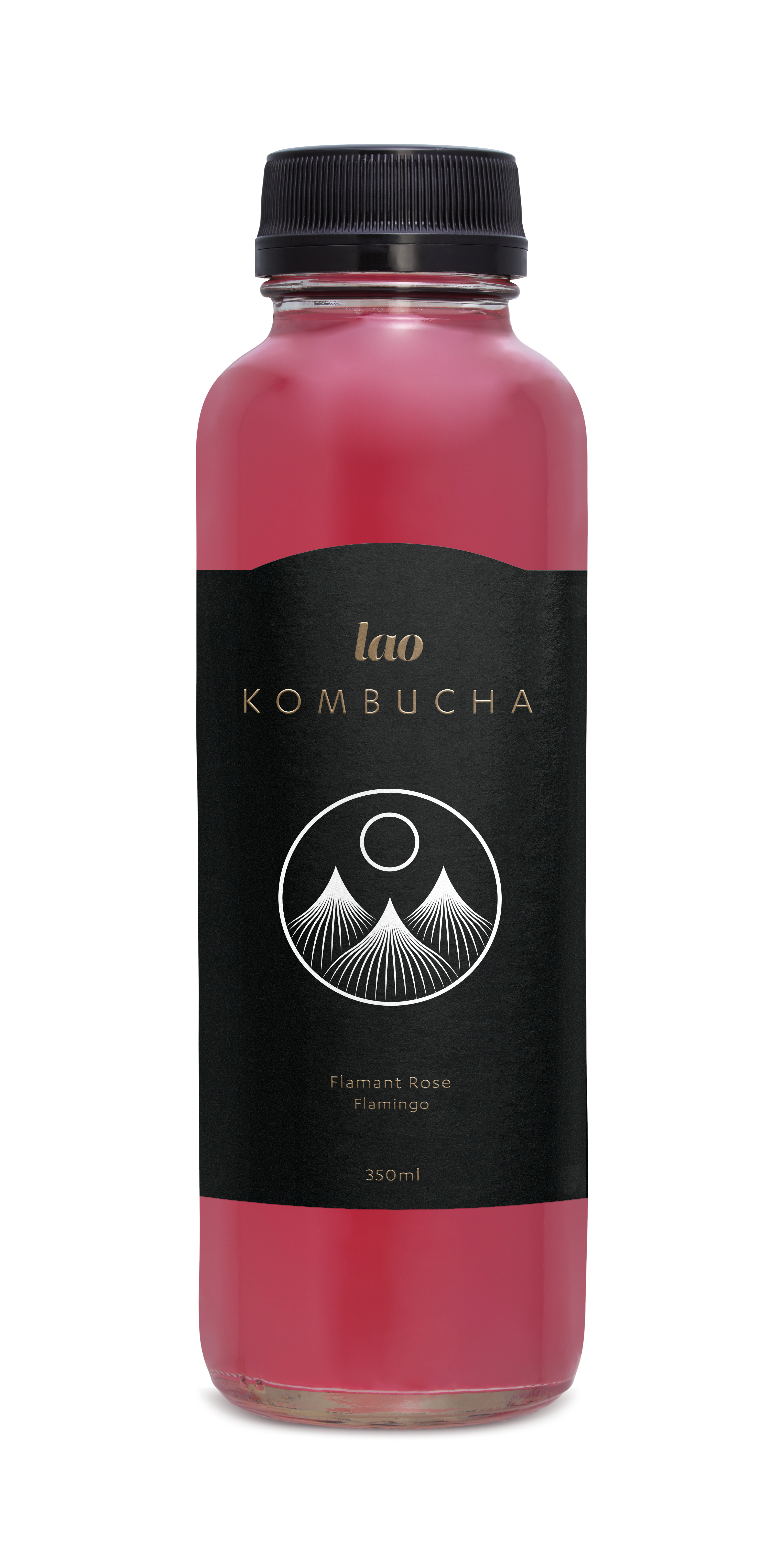 Lao Kombucha: Photo of Flamingo - Lao Kombucha (uploaded by company)