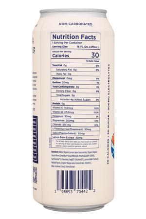 Leisure Project: Leisure-16oz-2022-HydratingAde-MangoGinger-Facts
