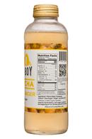 Lenny Boy Kombucha: LennyBoy-14oz-Kombucha-GoodOlGinger-Facts