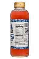 Lenny Boy Kombucha: LennyBoy-14oz-Kombucha-WakeUpCall-Facts
