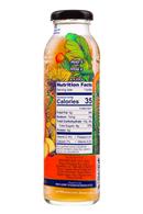 Lion Botanical Tonic: Lion-DandelionTea-10oz-BloodOrangeGinger-Facts