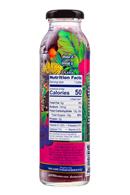 Lion Botanical Tonic: Lion-DandelionTea-10oz-HibiscusBlueb-Facts