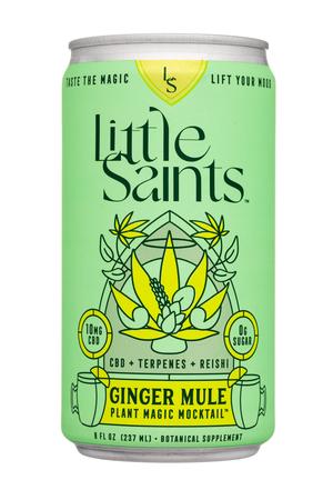 Little Saints: LittleSaints-8oz-2022-Mocktail-GingerMule-Front