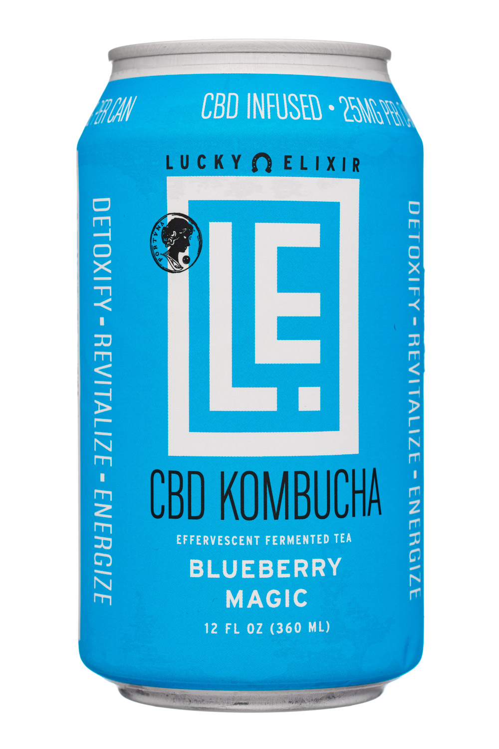 Blueberry Magic Kombucha