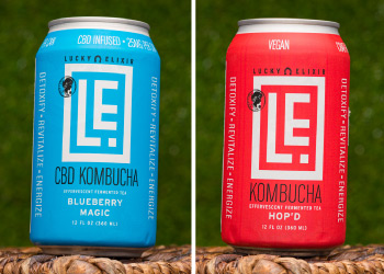 Lucky Elixir Kombucha - Lucky Elixir