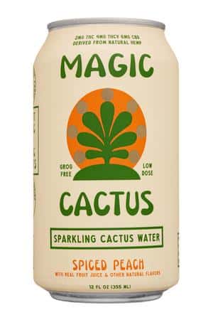 Magic Cactus: MagicCactus-12oz-2024-SparklingCactusWater-SpicedPeach-Front