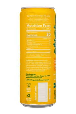 Mateina: Mateina-12oz-2025-YerbaMate-MangoKeyLime-Facts