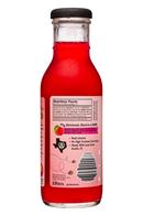 Me & The Bees Lemonade: MeAndTheBees-12oz-Lemonade-PricklyPear-Facts