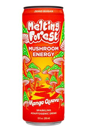 Melting Forest: MeltingForest-12oz-2024-MushEnergy-9