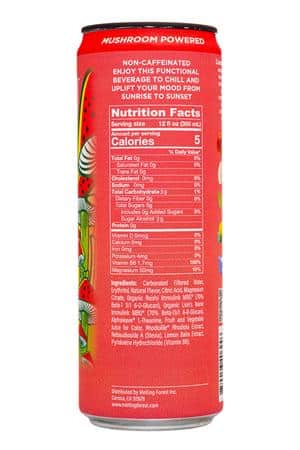 Melting Forest: MeltingForest-12oz-2024-Adaptogen-WatermelonElder-Facts