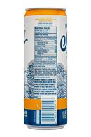 Mighty Swell: MightySwell-12oz-SparklingCocktails-Mango-Facts