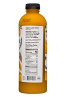Mixology Maker: MixologyMaker-32oz-Mixer-SpicedPunch-Facts