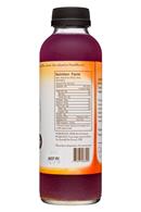NessAlla Kombucha: Nessalla-16oz-Kombucha-CBD-Butterfly-Facts