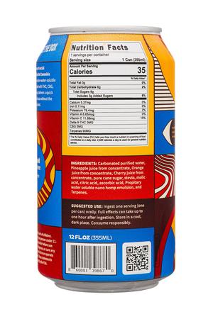 Nine Dot: NineDot-12oz-2025-TropicalCooler-Facts