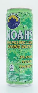 Noah's Water: 