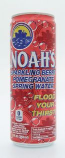 Noah's Water: 