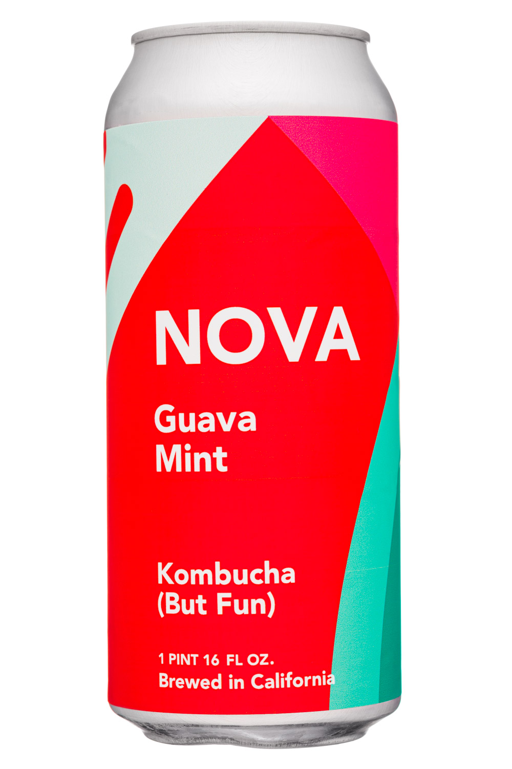 Guava Mint 16oz - Fun Kombucha 2021