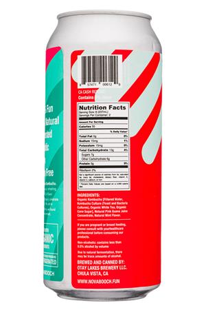 Nova: Nova-16oz-2021-FunBucha-GuavaMint-Facts