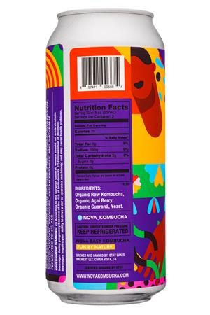 Nova: Nova-16oz-2021-EasyBucha-AcaiBerryGuarana-Facts