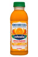 Odwalla - Smoobucha: Odwalla-15oz-Smoobucha-CitrusGuava-Front