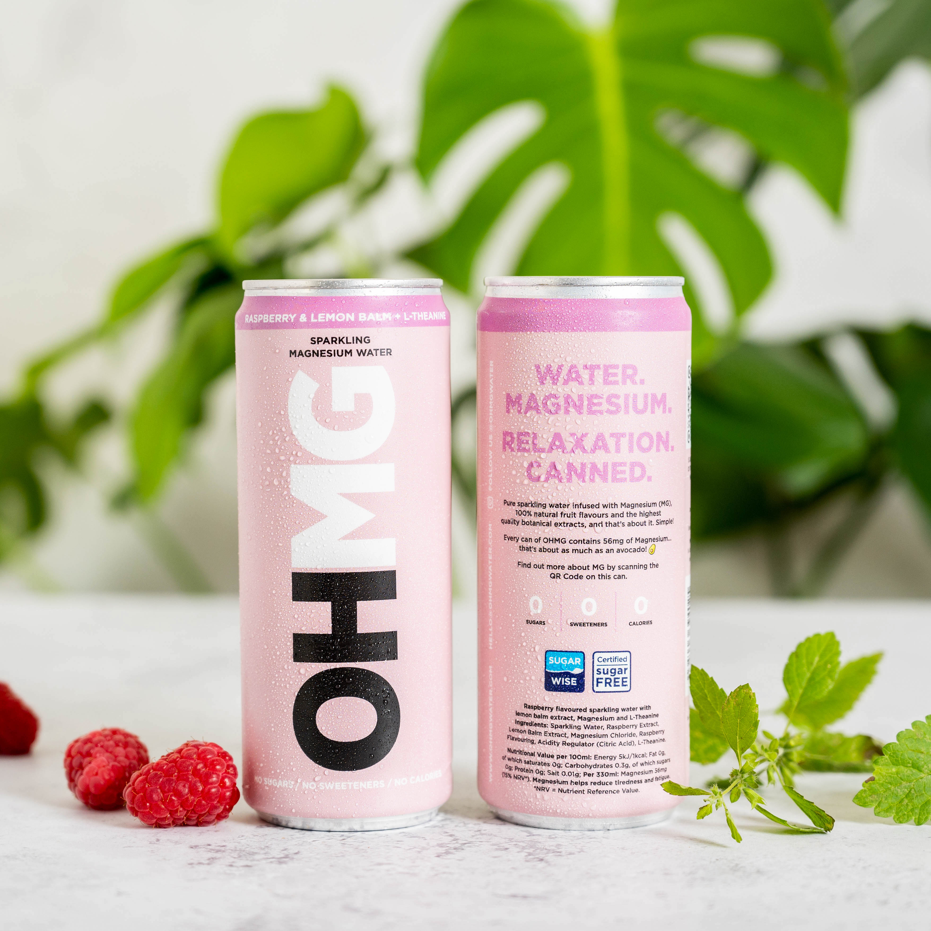 OHMG: Photo of RASPBERRY & LEMON BALM + L-THEANINE - OHMG (uploaded by company)