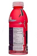 Peak Hydration: PeakHydrate-17oz-MineralWater-Punch-Facts