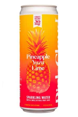 Pink Cloud Beverages: PinkCloud-12oz-2022-Sparkling-PineappleYuzuLime-Extra