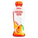 Positive Beverage: PositiveH20-17oz-Orange