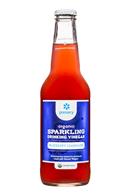 Pressery Sparkling Drinking Vinegars: Pressery-DrinkingVinegar-12oz-BlueberryLemonade-Front