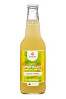 Pressery Sparkling Drinking Vinegars: Pressery-DrinkingVinegar-12oz-LemonGinger-Front