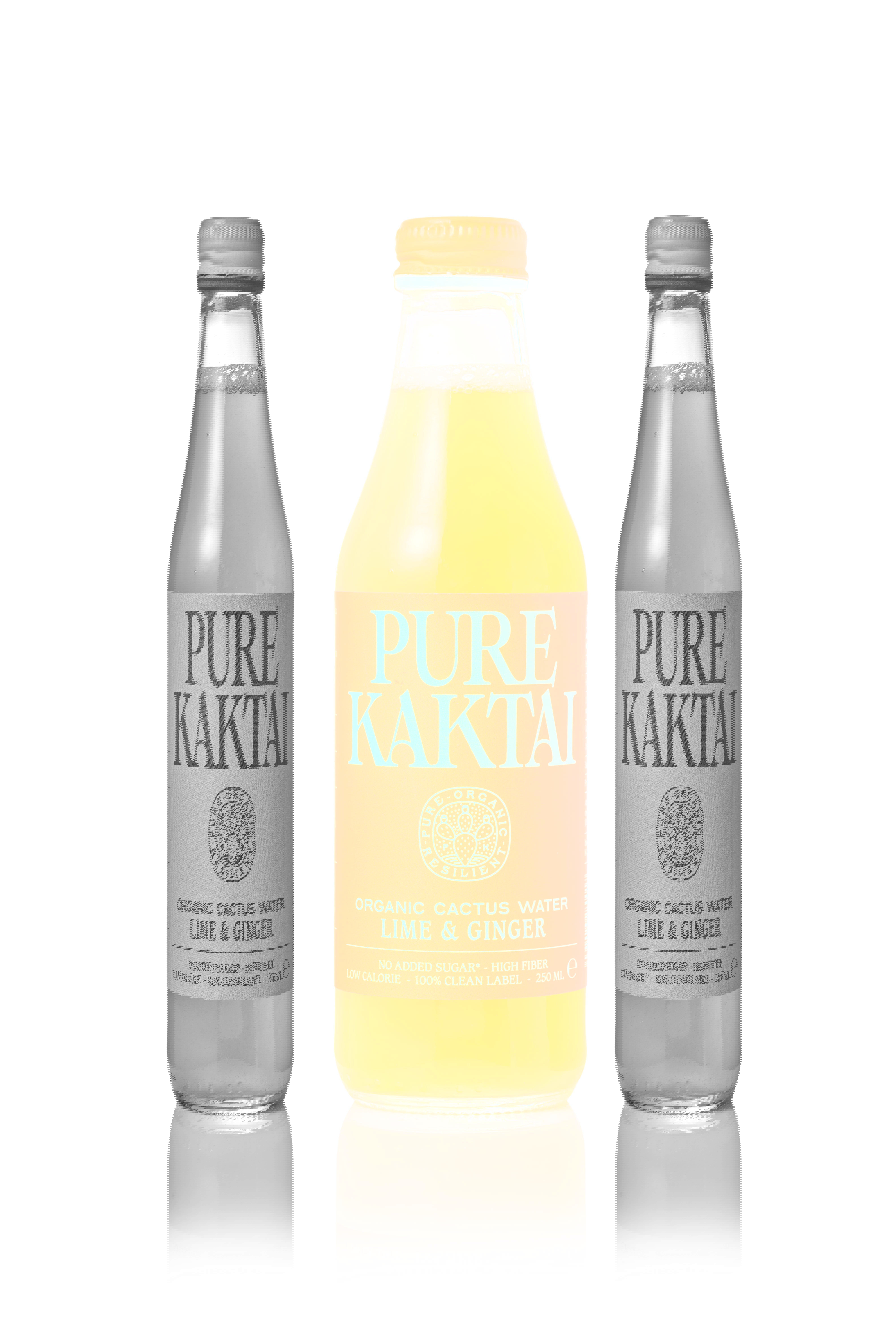 Pure Kaktai: Photo of PURE KAKTAI GINGER  - Pure Kaktai (uploaded by company)