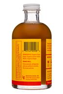 Raft : Raft-250ml-Syrup-LemonGinger-Facts