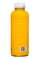 REBBL Tonic: Rebbl-15oz-SparklingPrebioticTonic-GingerGold-Facts