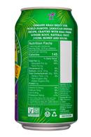 Reed's Ginger Brews: Reeds-12oz-GingerBeerCan-Strongest-Facts