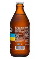 Revive Kombucha: Revive-12oz-Kombucha18-LemonRefresher-Facts