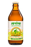 ReviveKombucha-12oz-Solar-YerbaMateGinger-Front