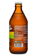 Revive Kombucha: Revive-12oz-Kombucha18-GingerLime-Facts