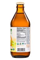 Revive Kombucha: ReviveKombucha-12oz-Solar-YerbaMateGinger-Facts
