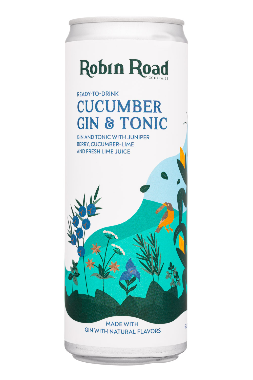 Cucumber Gin & Tonic