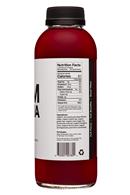 Seek North: SeekNorth-14oz-Kombucha-Clarity-Facts