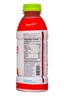 ShineWater-17oz-StrawbLemon-Facts