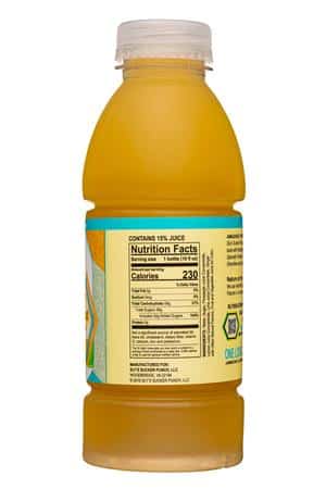 Sly's Sucker Punch: Slys-16oz-2023-GingerLemonBoost-Facts