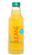 SoBe Lean: sobelean-energycitrus.jpg