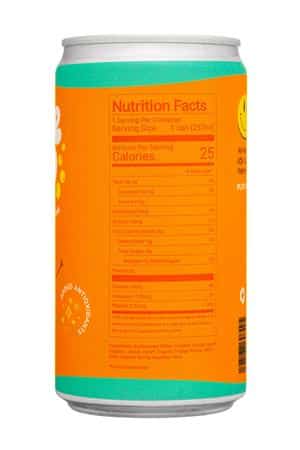 Sodee Pop: SodeePop-8oz-2024-FizzyDrink-OrangeFizz-Facts
