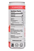 Sound Sparkling Tea: Sound-12oz-TeaInfusedSparklingWater-Ginger-Facts