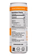 Sound Sparkling Tea: Sound-12oz-TeaInfusedSparklingWater-Green-Facts